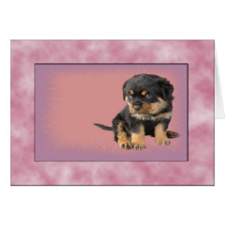 C'Était L'Amour À Première Vue