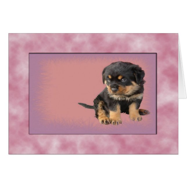 C'Était L'Amour À Première Vue (Devant horizontal)