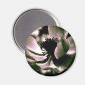 C'était une belle journée.Anemone Magnet (Recto/Verso)