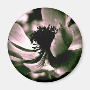 C'était une belle journée.Anemone Magnet