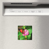 Cethosia biblis Magnet Magneet (Insitu (Vaatwasser))