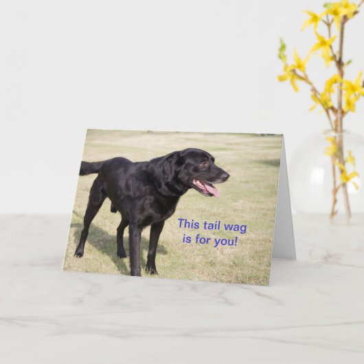 Cette sangle de queue est pour vous. Carte Black L (Fleur jaune)