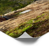 Ceux qui attendent sur le Seigneur Poster Jérémie (Coin)