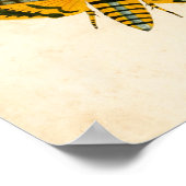 Ceylon Tree Nymph Butterfly & Acherontia Moths Poster (Hoek)