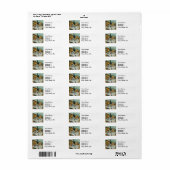 Cezanne Basket Appels Impressionisme Kunst Etiket (Full Sheet)
