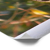 CG - Poster de Mockingbird (Coin)