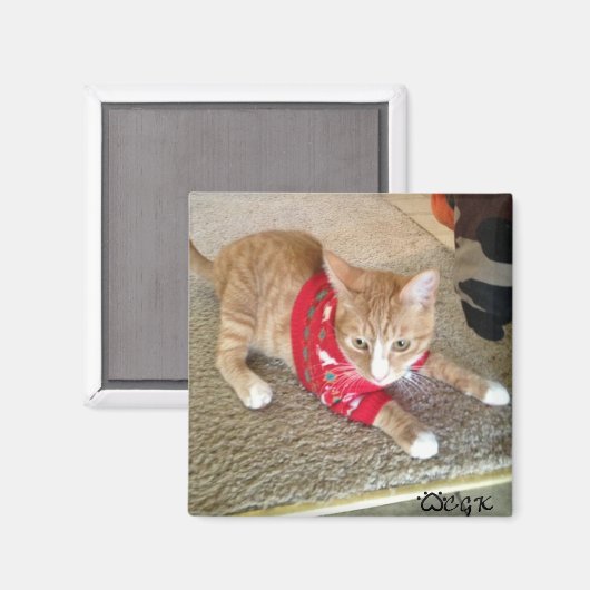 CGK FRIDGE MAGNET (Recto/Verso)