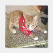 CGK FRIDGE MAGNET (Devant)