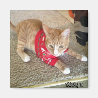 CGK KOELKAST MAGNEET