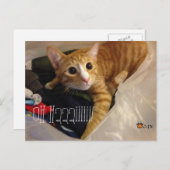 CGK POST CARD BRIEFKAART (Voorkant / Achterkant)