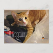 CGK POST CARD BRIEFKAART (Voorkant)