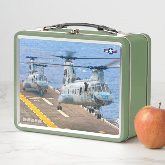 CH-46E ZEE KNIGHT (In situ)