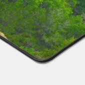 CH-47F CHINOOK (Coin)