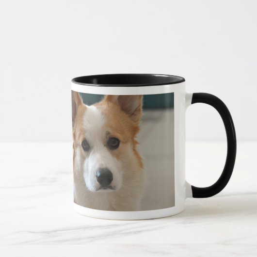 CH. DOZER - Pembroke welsh corgi face Mok (Rechts)