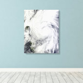 Chaba-tyfoon op het Filipijnse Zee Canvas Afdruk (Insitu (Houten vloer))