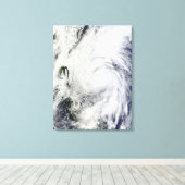 Chaba-tyfoon op het Filipijnse Zee Canvas Afdruk (Insitu (Houten vloer))