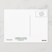 Chacchoban Pyramid Briefkaart (Achterkant)