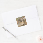 Chacma Baboon (Papio ursinus) krast zijn Vierkante Sticker (Envelop)