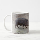 Chacoan Peccary #2 Mok (Links)
