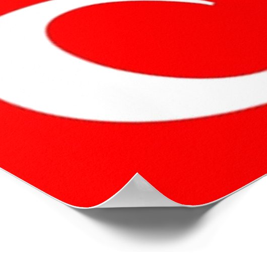 Chad michael murray poster (Hoek)