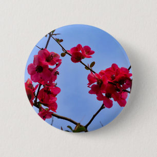 Chaenomeles speciosa Badge Ronde Button 5,7 Cm