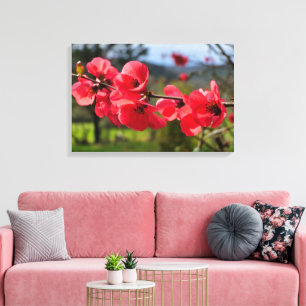 Chaenomeles speciosa canvas afdruk