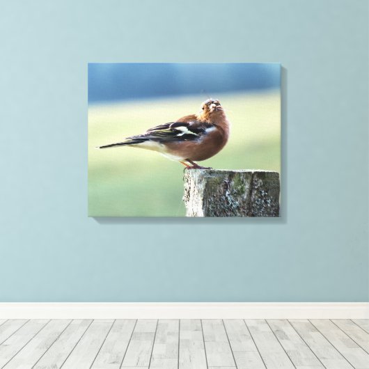 CHAFFINCH CANVAS AFDRUK (Insitu (Houten vloer))