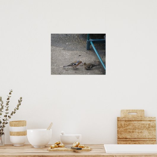 Chaffinch Chick obtient Fed Impression (Cuisine)