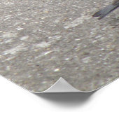 Chaffinch Chick obtient Fed Impression (Coin)