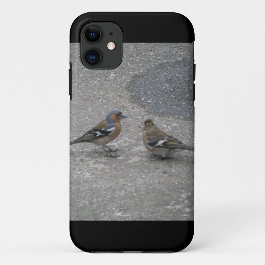 Chaffinch Feed Me iPhone 5 Coque (Dos)
