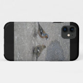 Chaffinch Feed Me iPhone 5 Coque (Dos (Horizontal))