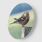 CHAFFINCH GROTE KLOK (Hoek)