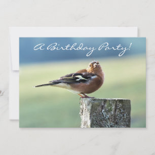 CHAFFINCH KAART
