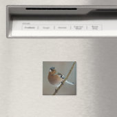Chaffinch magneet (Insitu (Vaatwasser))