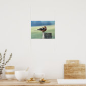 CHAFFINCH POSTER (Keuken)