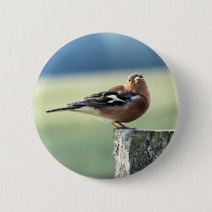 CHAFFINCH RONDE BUTTON 5,7 CM
