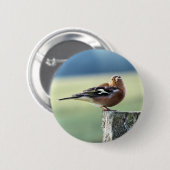CHAFFINCH RONDE BUTTON 5,7 CM (Voorkant /achterkant)
