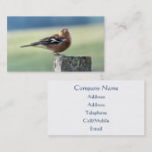 CHAFFINCH VISITEKAARTJE (Voorkant / Achterkant)