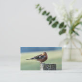CHAFFINCH VISITEKAARTJE (Staand voorkant)