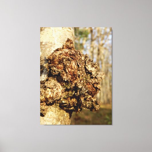 Chaga Mushroom Canvas Print (Voorkant)
