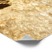 Chaga paddenstoel Poster (Hoek)