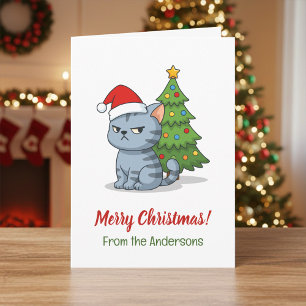 Chagrijnige Grijze Lapjeskat Rode Kerstmuts Kerstb Kaart