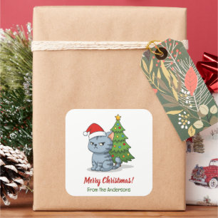 Chagrijnige Grijze Lapjeskat Rode Kerstmuts Kerstb Vierkante Sticker