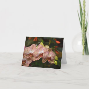 Chaîne De Frappe D'Orchidées Carte Note