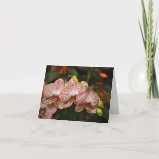 Chaîne De Frappe D'Orchidées Carte Note (Devant)