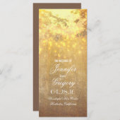 chaîne de lumières arbre branches programmes de ma (Devant / Derrière)