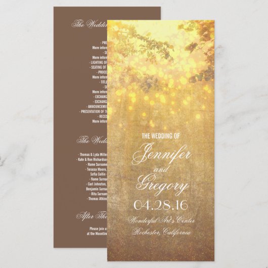 chaîne de lumières arbre branches programmes de ma (Devant / Derrière)