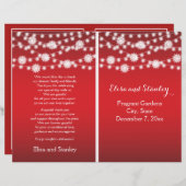 Chaîne de lumières flocons de neige programme de m (Devant / Derrière)