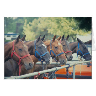 Chaîne Polo Pony