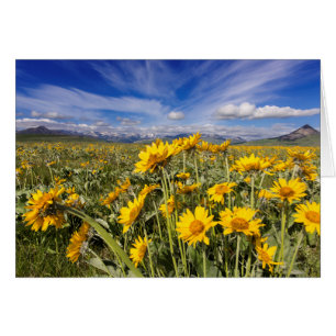 Chaîne Rocky Mountain Front